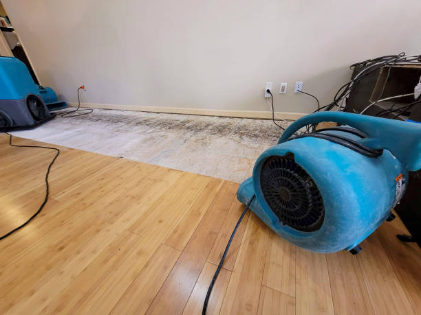 Professional Structural Drying technician working in Columbiana, OH